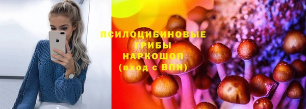 гидра Алзамай