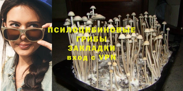 гидра Алзамай