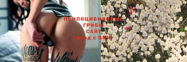 твердый Алексин