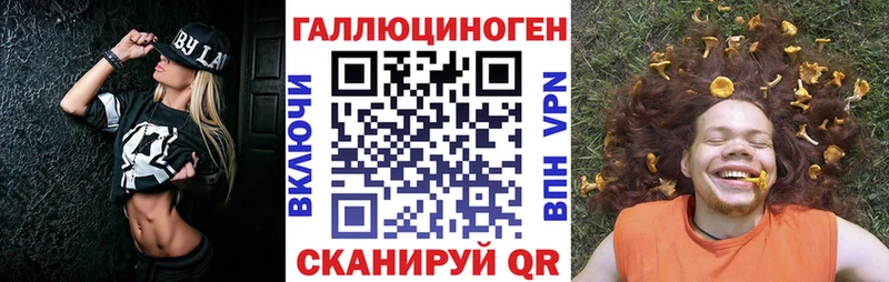 как найти   Асино  Псилоцибиновые грибы ЛСД 