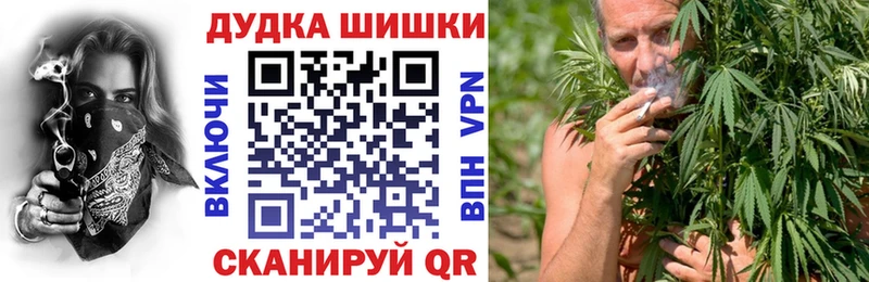 закладки  Асино  Бошки марихуана OG Kush 